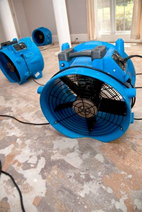 What's Next Emergency Response's drying fans in water damaged house.