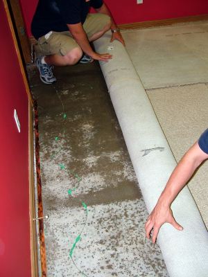 What's Next Emergency Response removing water damaged carpet before mold can grow.